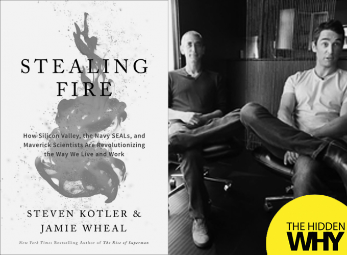 378: Book Reflection - Stealing Fire by Steven Kotler & Jamie Wheal - Revolutionizing the Way We Live and Work